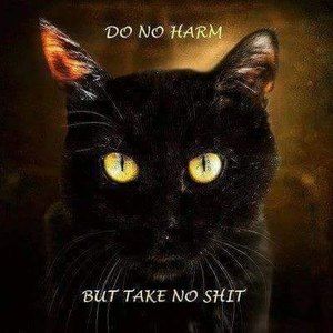 Meet your Posher, Frankie